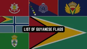 List of Guyanese flags
