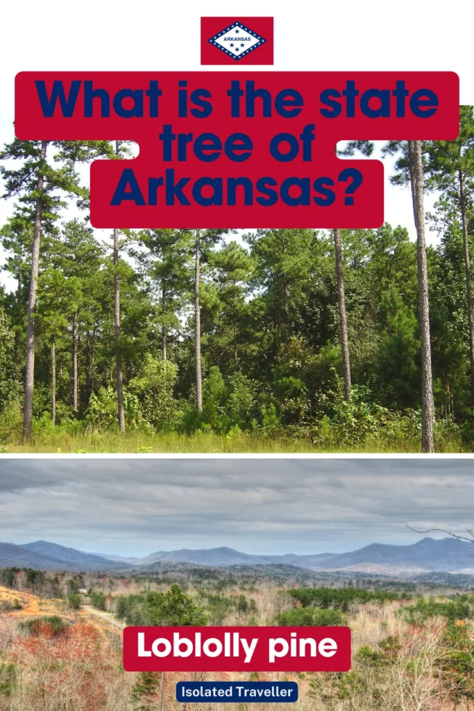 The pine tree is Arkansas's official state tree.
