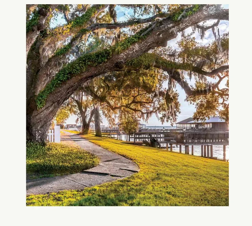 10 Interesting Facts About Hoover, Alabama