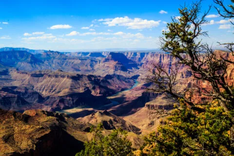 Grand Canyon